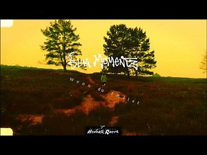 SLIK MOMENTZ - WENN DU FÄLLST (official video / deutscher Reggae)