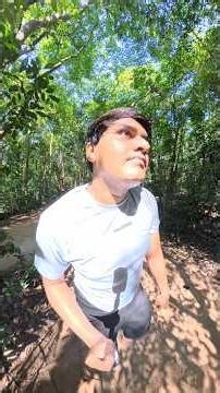My Vietnam 🇻🇳 Trips Chu Chi Tunnels