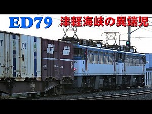 新幹線の開通により形式消滅 短命だったED79形貨物機