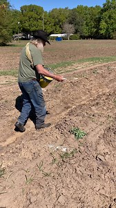 Antique fertilizer distributor | Batten Family Farms