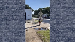 20K views · 229 reactions | Home Depot’s 12-foot skeletons were a hot...