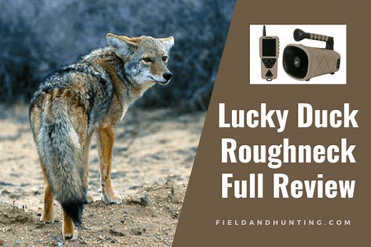 Lucky Duck Roughneck Review: The New Lucky Duck Predator Call - Field & Hunting