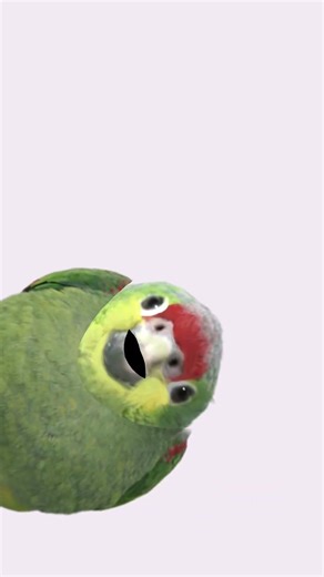 She gon clean ma poop