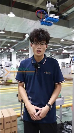 Robotic Palletizer Explained | Flexible Recipes, Neat Stacking & Safer End-of-Line