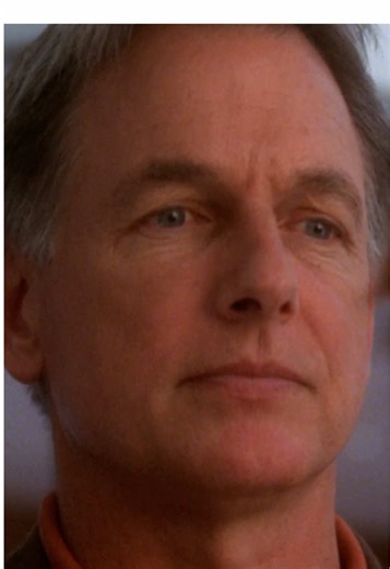 Unspoken Rules in NCIS: What Will You Break First?