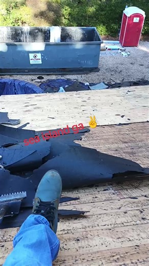 Jose Agustin Visicon (@joseagustinvisiconti)’s videos with sonido original - ￶