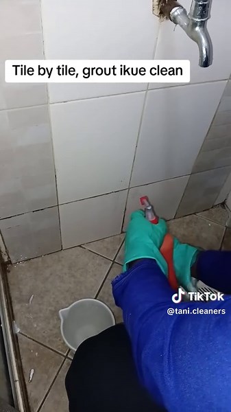 Toilet Tile Stain Removal Guide
