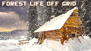 Off grid forest living in a log hut during windy conditions.#survival #adventure #wilderness #camping #bushcraftcamping #logcabin #cabin | Jeffries Natasha