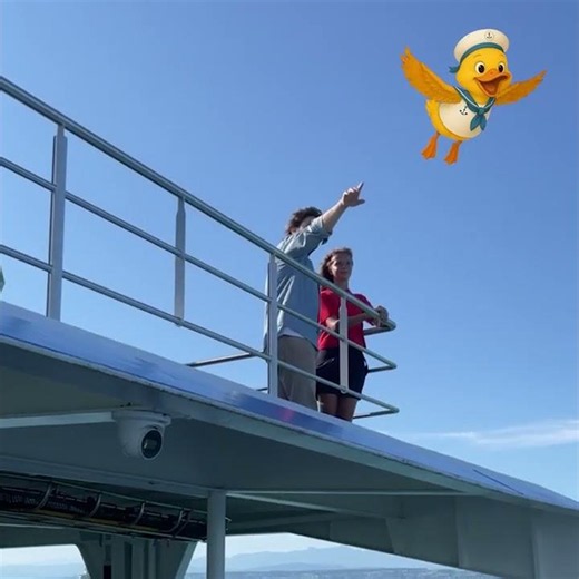 🚢 Familienzeit am Bodensee | BSB: Das Familienhighlight an Bord