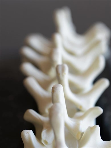 AO SPINE NA | AO Spine NA Course – Principles and Treatment in Spinal Disorders 📅 May 29–30, 2026 📍 La Jolla, California, USA AO Spine North America’s... | Instagram