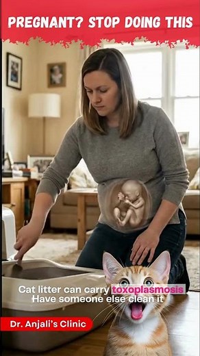 Pregnant? Stop Cleaning the Litter Box 🚨Pregnancy Guide