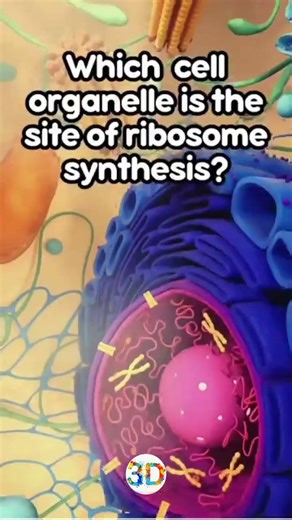 Cell 3D ANIMATION ll #biology #3danimation