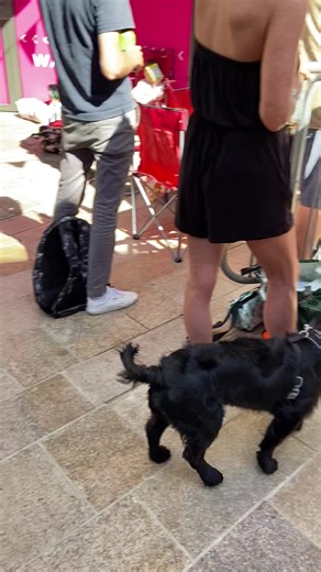 4.9K views · 32 reactions | Channel 103 on Reels | Facebook