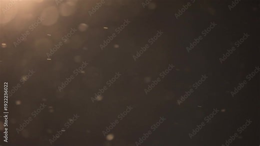 Detailed slow motion view of large snowflakes falling through the dark evening sky showing winter weather conditions and the beauty of snowfall in cold season