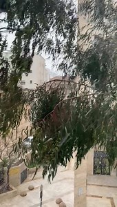 Heavy snowfall in Jerusalem! . . . #snow #israel #jerusalem #winter #weather | International Christian Embassy Jerusalem (ICEJ)