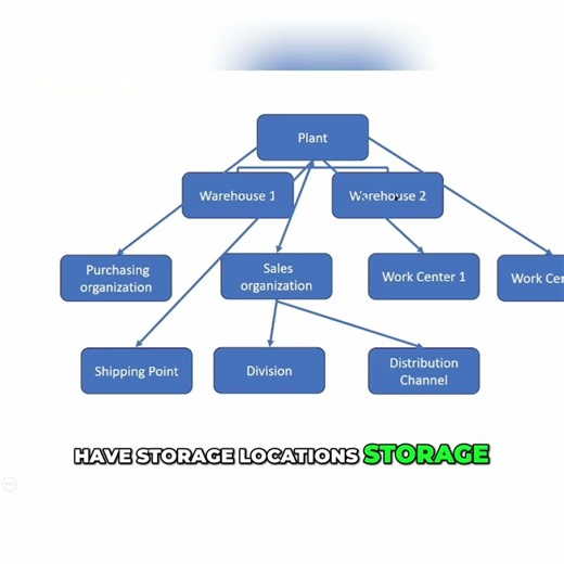 SAP Org Structure Finance & Logistics Explained Clearly