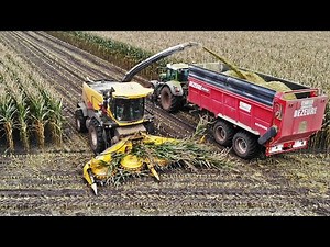 Mais Silage In The Mud | New Holland FR9050 + Fendt + Claas | Verhoef | 2021