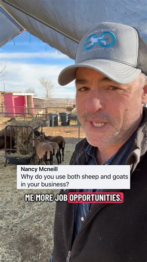 Max Wade on Instagram: "Excuse of their different eating habits, sheep give us additional job opportunities #targetedgoatgrazing #goatscaping #goatgrazing #prescibedgrazing #cowboymax"