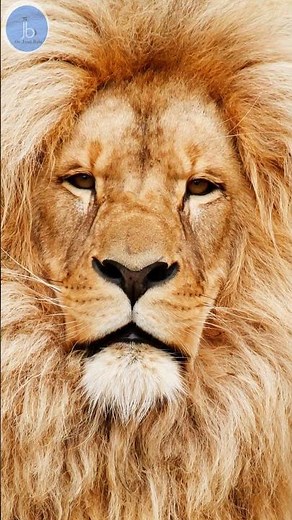 The Red Queen Hypothesis: Why Living Things Must Keep Evolving to Survive| Evolution & Biology