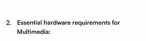 Essential Hardware Requirements for Multimedia... | Filo