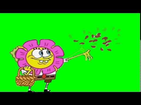 SpongeBob Green Screen: Flowers