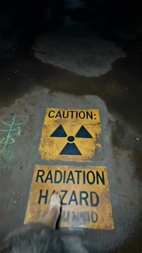 🐺 Wolf POV in Chernobyl… The Abandoned City Hiding a Dark Secret ☢️😱