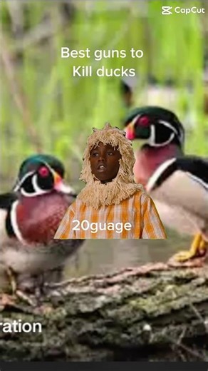 Best way to kill ducks #duckhunting