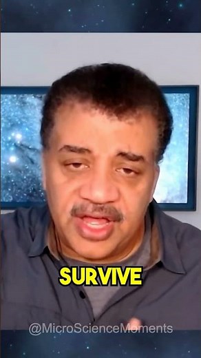 The Mechanics of Coal-fired Power Plants