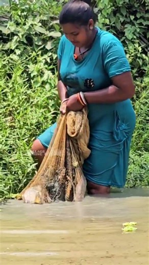 Amazing Village Women Net Fishing #Mouni #viral #Fishing #2026challenge #farming #fhiscurry #MHS