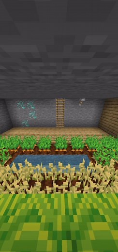 Construcción de granjas en Minecraft