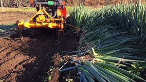 34K views · 198 reactions | Amazing machine - Green onion harvester | Amazing Machine | Facebook