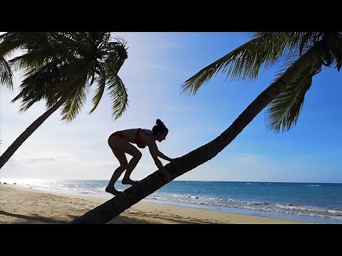 Viva Wyndham V Samana - Dominican republic