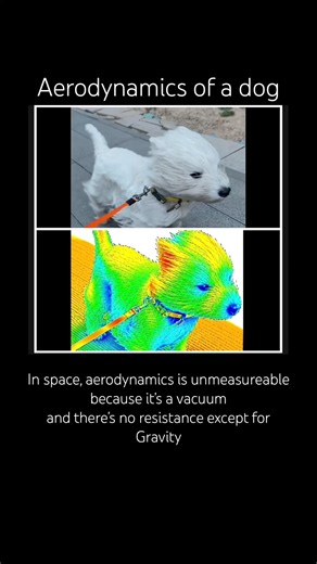 How aerodynamics work. #space #science #physics #viral #shorts