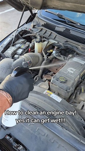 No Touch X-Treme Engine Bay Cleaner & DDE for the ultimate cleaning and detail on your Engine Bay ✨ Our No Touch Engine Bay Cleaner is a heavy duty cleaner able to rinse away the grime and grease away with out needing any scrubbing! Simply spray and rinse 💦 Our DDE adds a high luster shine to engine bay components, plastics and rubber surfaces using a water based dressing for the ultimate shine 🌟 ✅ No Touching ✅ No Scrubbing ✅ No Harsh Brushes ✅ No Wiping ✅ Easy and Quick to Use Dura-coating. 