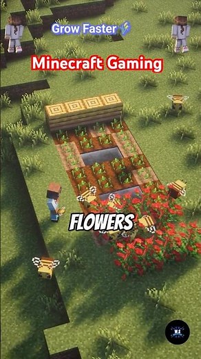 Max Crop Speed! #minecraft #minecraftshorts