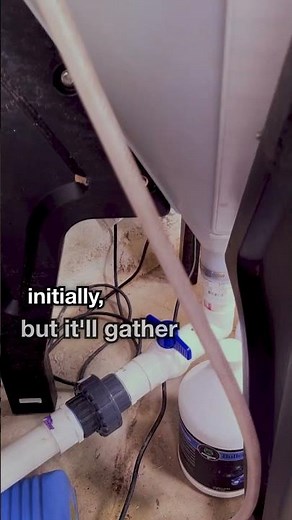 Compost Tea WON'T Work Without This | How to Make Compost Tea Pt. 5