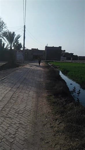 Malik Bunny cd 70 (@malik.bunny.cd.70)’s videos with original sound - Just innocen't😇