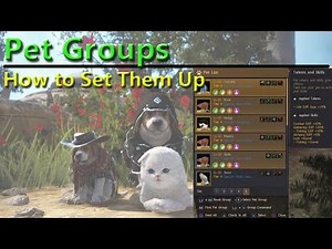 BDO Pet Group Guide / How To