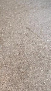 6.5K views · 40 reactions | #woodworking #DIY #joint #japanesejoinery | Mr Rogers | Facebook