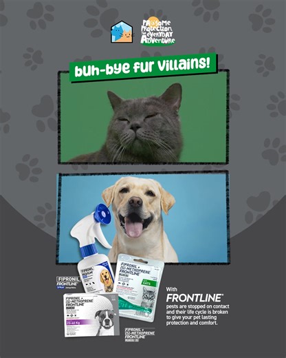 Have you seen mites and fleas up close? Scary di ba? These tiny fur-ocious villains can hide in your pet’s coat and cause serious trouble. But #WithFrontline, hindi sila uubra. It kills fleas, ticks, mites and lice on contact and stops their eggs from hatching for a full month of paw-erful protection. Keep your furry bestie itch-free and happy. Get Frontline today! LAZADA: https://bit.ly/FHOfficialLazada SHOPEE: https://bit.ly/FHShopeeOfficial #PAWsomeProtection #EverydayAdventures #BuhByeFurVil