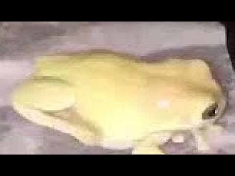 Screaming frog meme