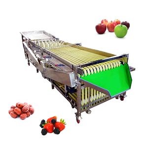 [Hot Item] Industrial Tomato Orange Apple Fruit Vegetable Grading Olive Onion Size Sorting Machine