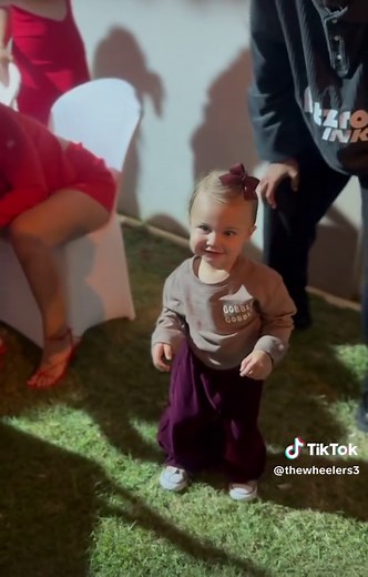 Jay Wheeler and Zhamira: A Musical Collaboration