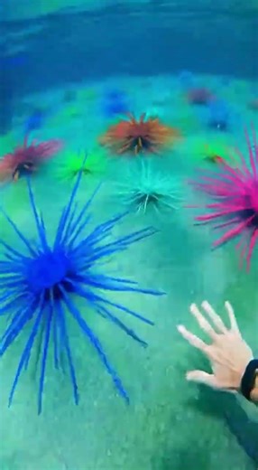 Rainbow waterslide OMG