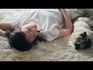 新垣結衣、無邪気に犬と戯れる コンプレックス「結構ある」と告白も 「エスプリーク」新ウェブCM＆インタビュー