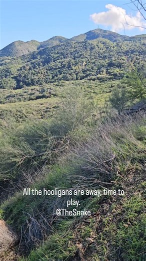 Cort Wagner on Instagram