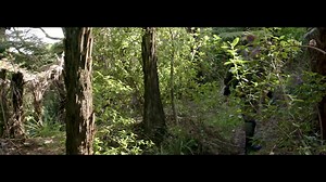 The Note9’s all day battery lets you play more Fortnite, but you’ll need to find it first. It’s dropping soon to a zone near you #Dropzone9 T&Cs apply: https://bit.ly/2MrdcPB | Samsung