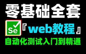 2025年b站最细最全面的web+selenium自动化测试入门到精通教程！没有之一