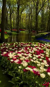 Kimberly Ray on Reels