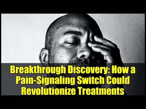 Breakthrough Discovery: How a Pain-Signaling Switch Could Revolutionize Treatments